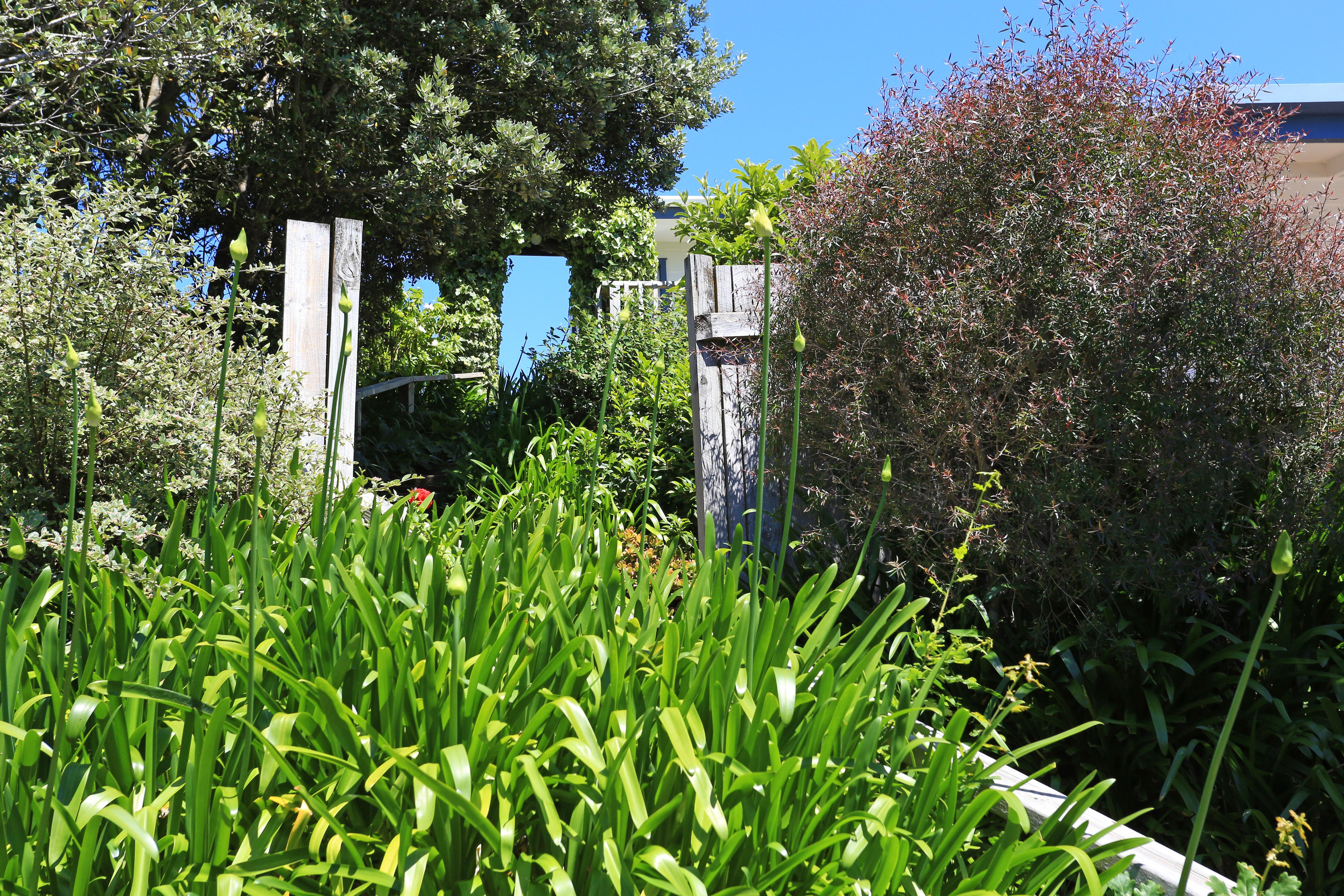 Waiheke Island Motel Ostend Exterior foto